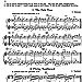 Beautiful Music For Two Strings Instrument Partituras