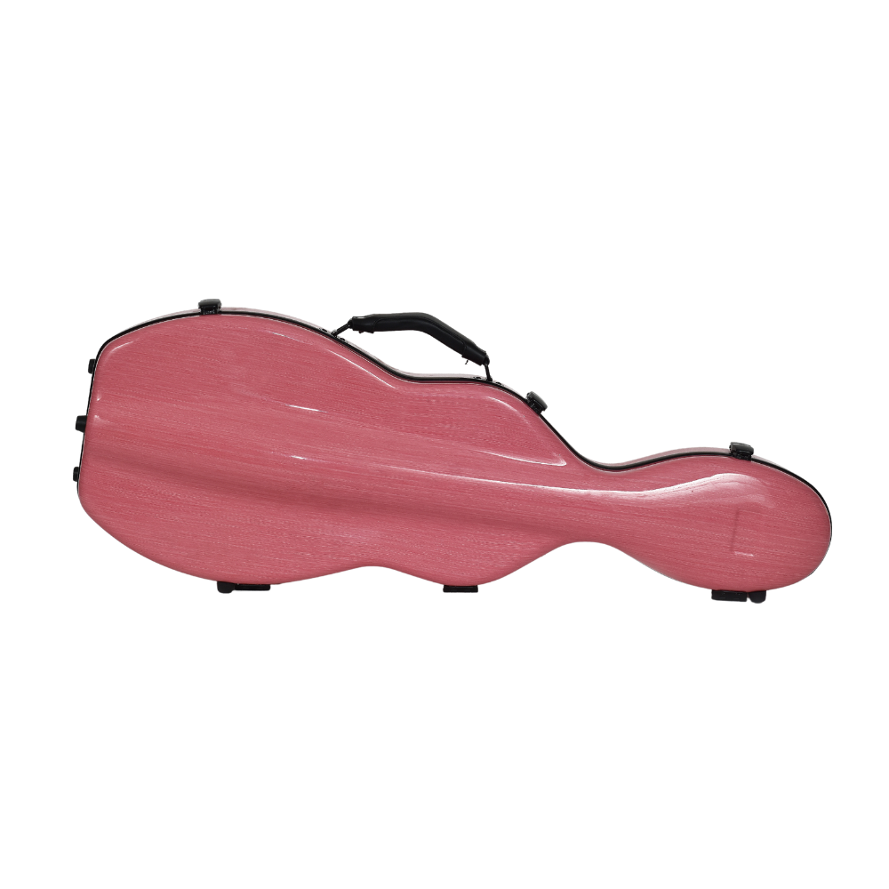 Estuche de Violin CSV003F