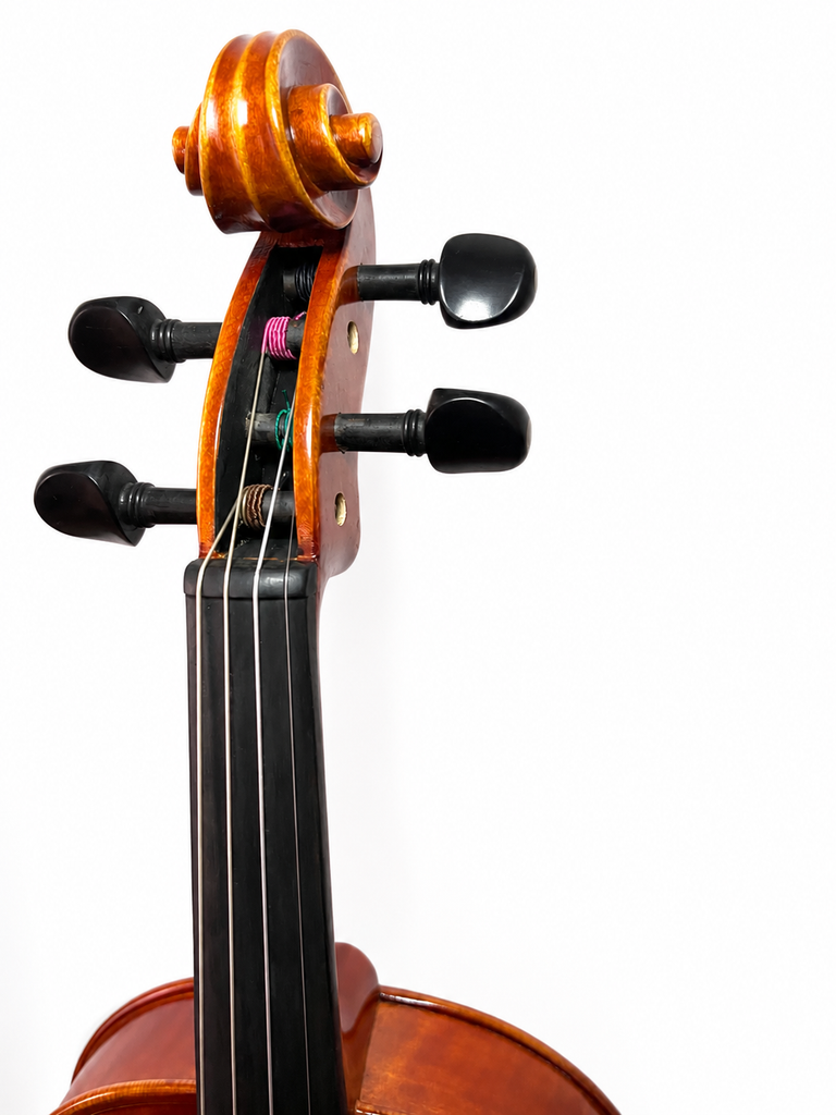 Violin Rondo, calidad profesional modelo PV100 4/4
