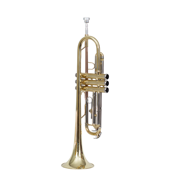 Trompeta Rondo