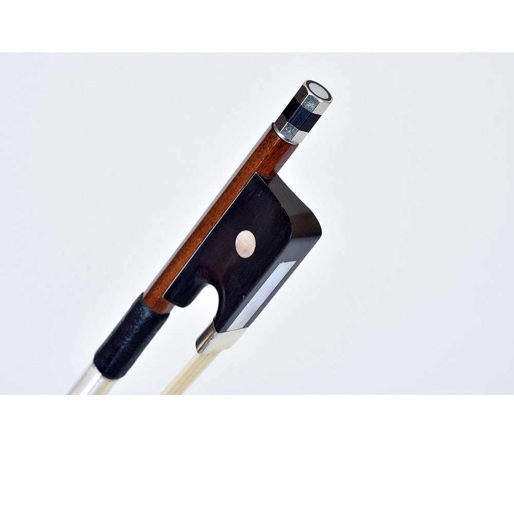 Arco Viola Wa780