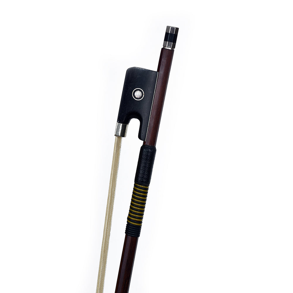 Arco Viola Wa780