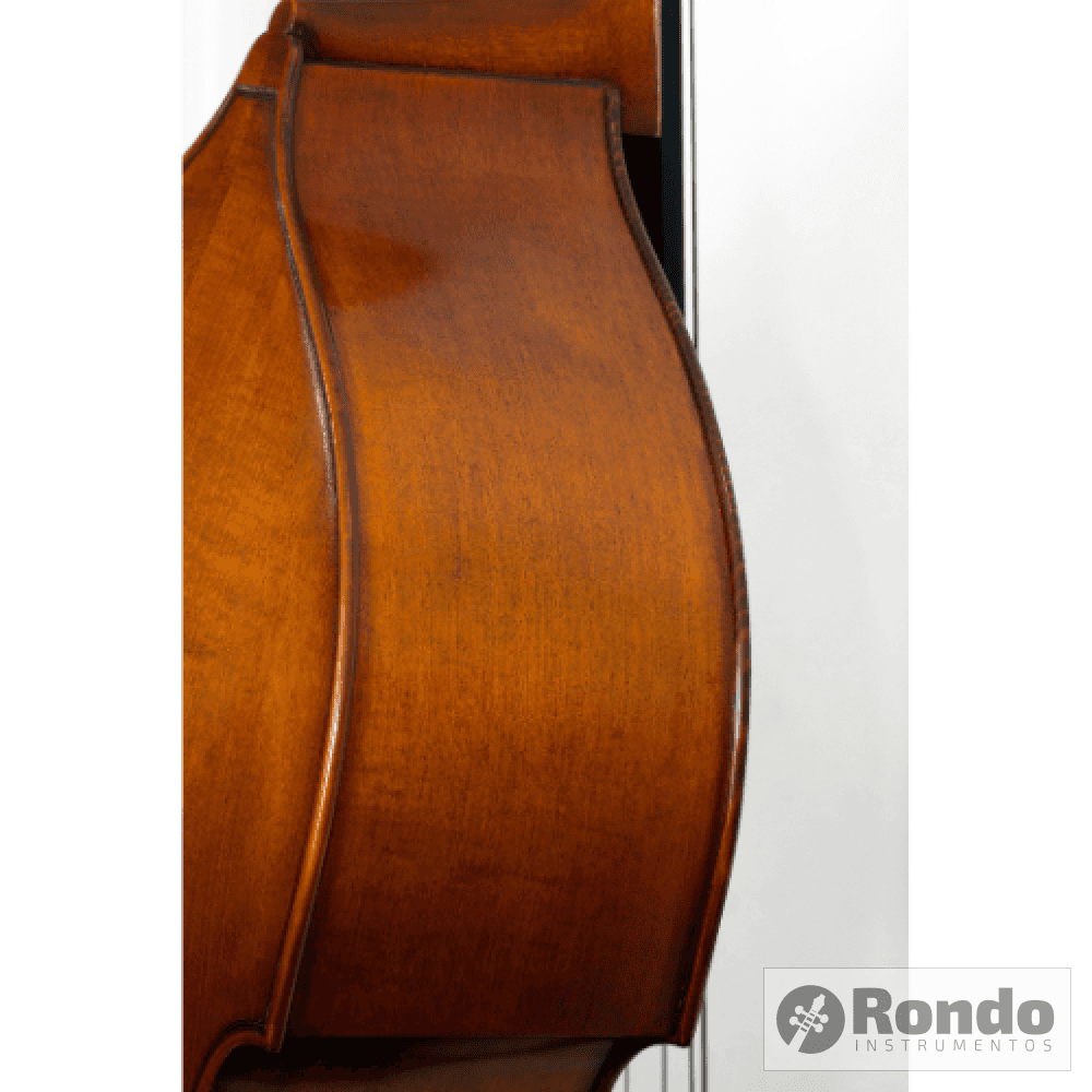 Contrabajo Hb100