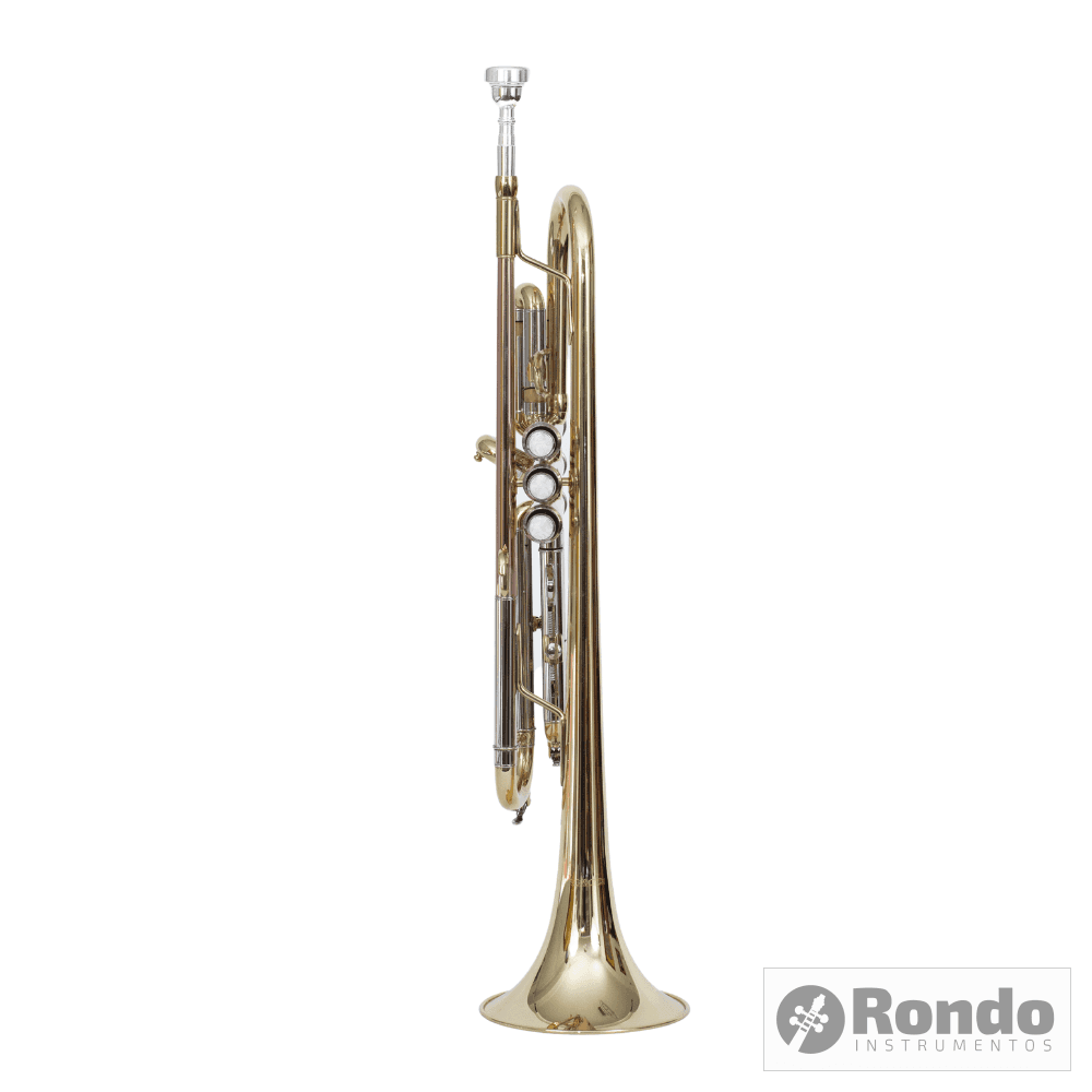 Trompeta Rondo Instrumento De Viento